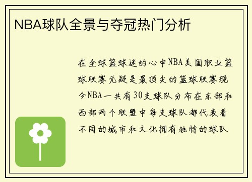 NBA球队全景与夺冠热门分析