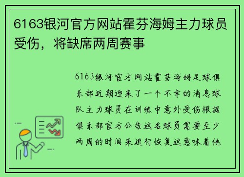 6163银河官方网站霍芬海姆主力球员受伤，将缺席两周赛事